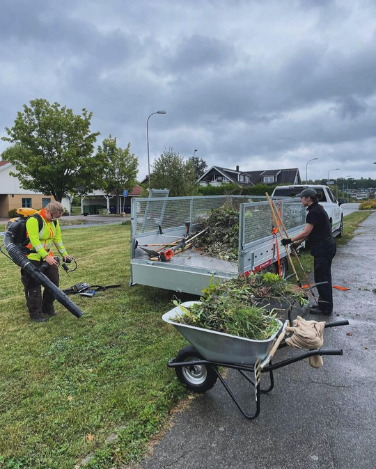 Sista rensningen för säsongen, Vallby, Augusti 2024