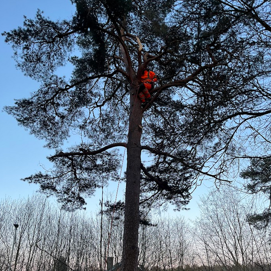 Lekplats på Vega, Västerås, April 2024